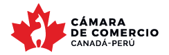 footer-logo